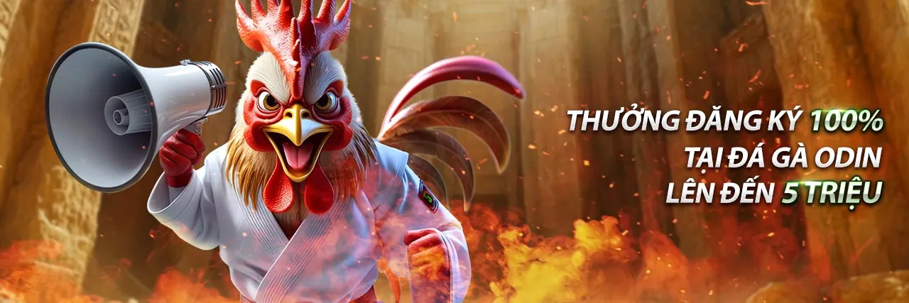 Giao diện ứng dụng 55chat trên điện thoại di động