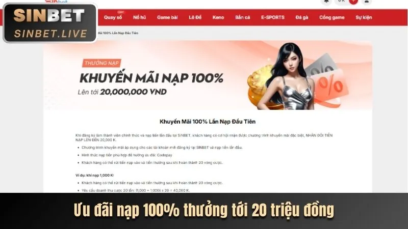 Chương trình VIP độc quyền 55chat